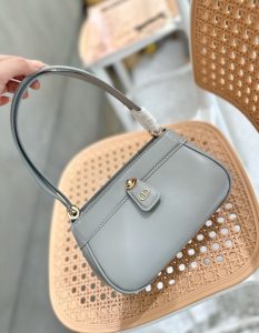 FashionReps Bags 10YAA2077