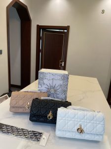 FashionReps Bags 10YAA2120