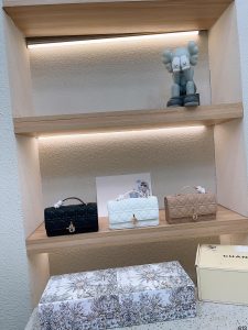 FashionReps Bags 10YAA2169
