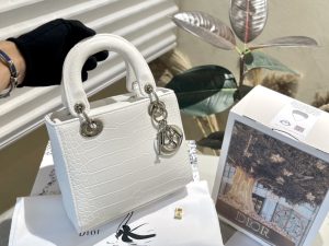 FashionReps Bags 10YAA2212