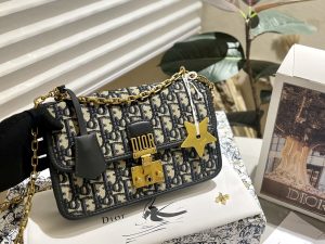 FashionReps Bags 10YAA2227
