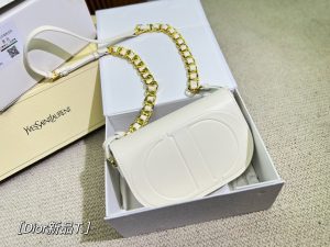 FashionReps Bags 10YAA2249