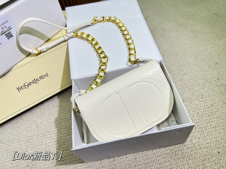 FashionReps Bags 10YAA2249