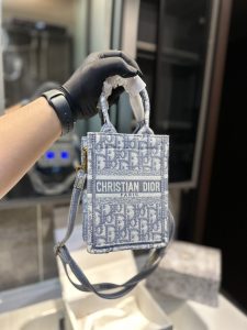 FashionReps Bags 10YAA2264