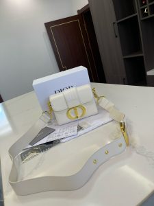 FashionReps Bags 10YAA2271