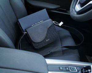 FashionReps Bags 10YAA2291