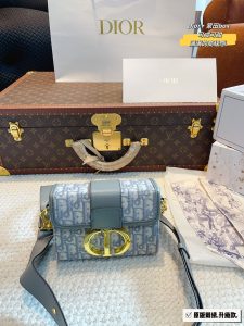FashionReps Bags 10YAA2504